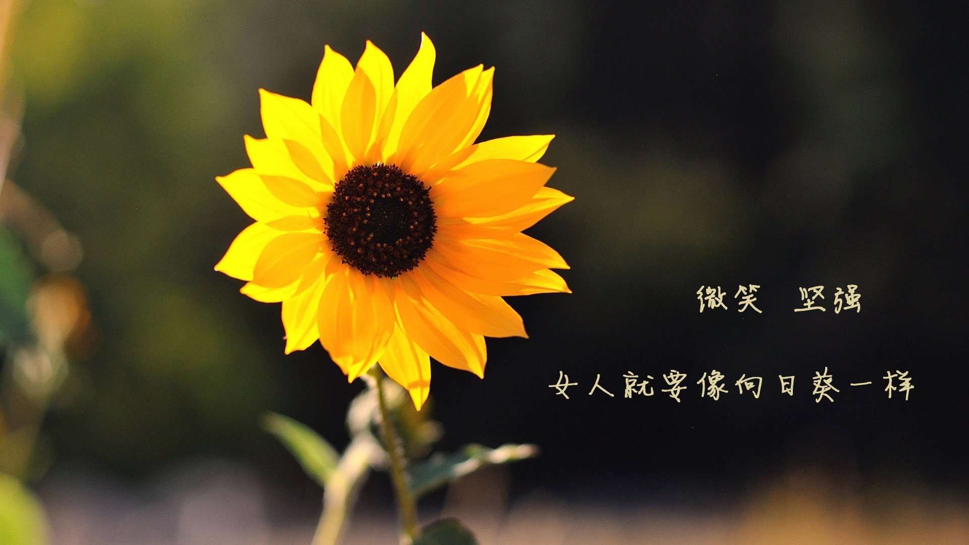 全球篮球名人与中国青少年交流比赛火热开启，国际篮球名人堂的中国人