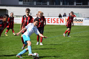 九游网页版官网-未来足球场馆实现“碳中和”目标，绿色科技应用成果显著