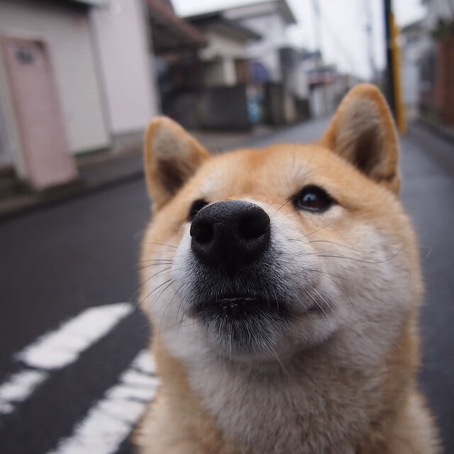 _跨界滑板+舞蹈：运动的艺术新表达_，滑板运动视频