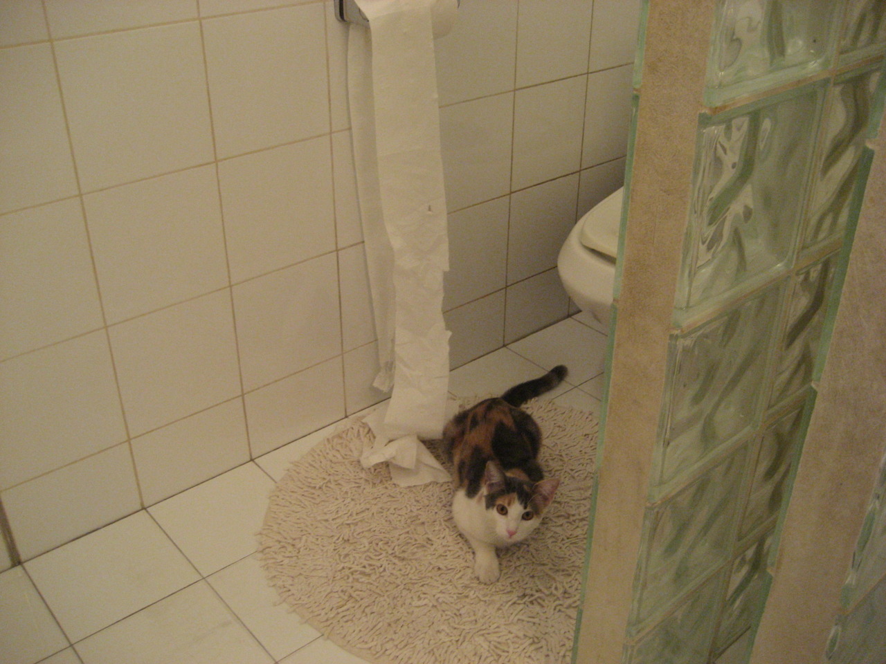 【丁俊晖】跨年度训练秘籍：攻防兼备的制胜诀窍，丁俊晖是如何练成的